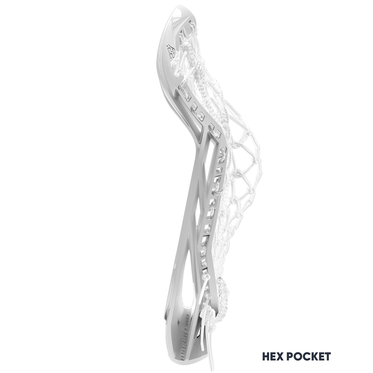 ASCENT PRO HEAD STRUNG