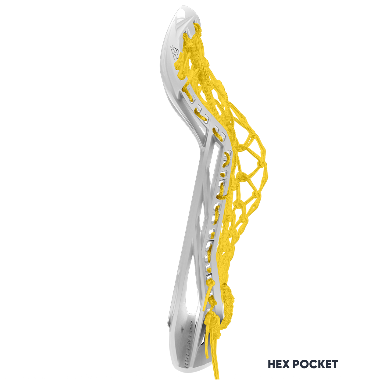 ASCENT PRO HEAD STRUNG